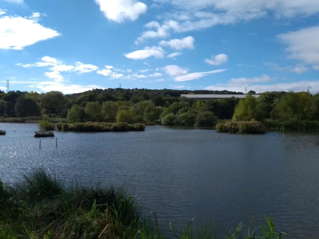 Lake with blue sky above.