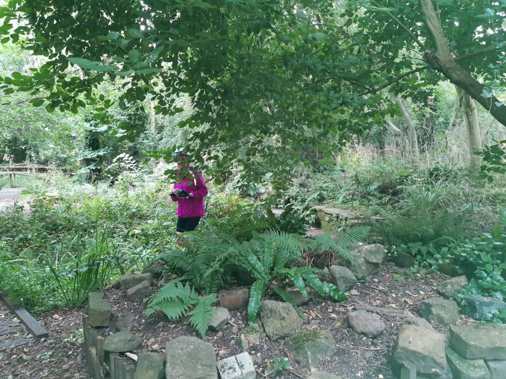 20230813 123443 Hollybush Farm Rosie