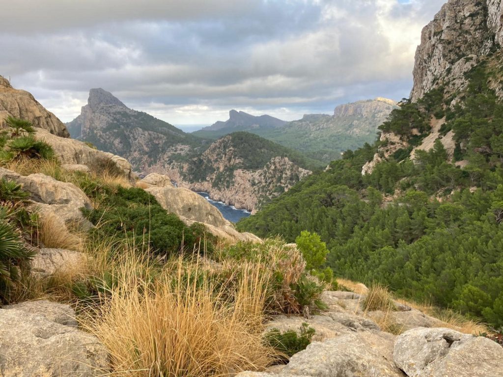 Majorca 4