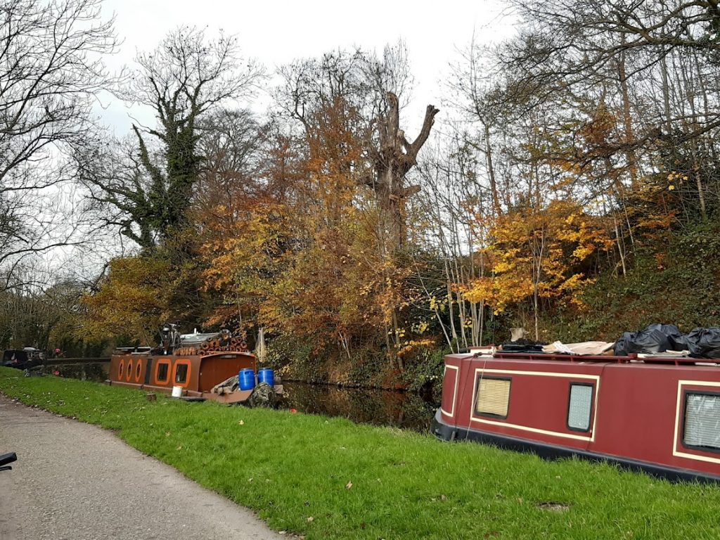 Towpath Nov 23
