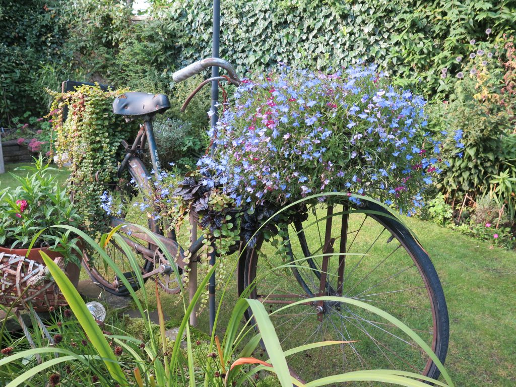 Sheila D 1 Bike as garden furniture